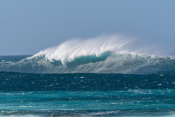 Descubrir el norte de Fuerteventura