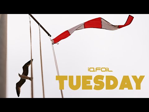 International iQFOil Games Andalucía 2023