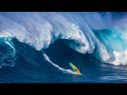 POLAKOW WIPEOUT JAWS