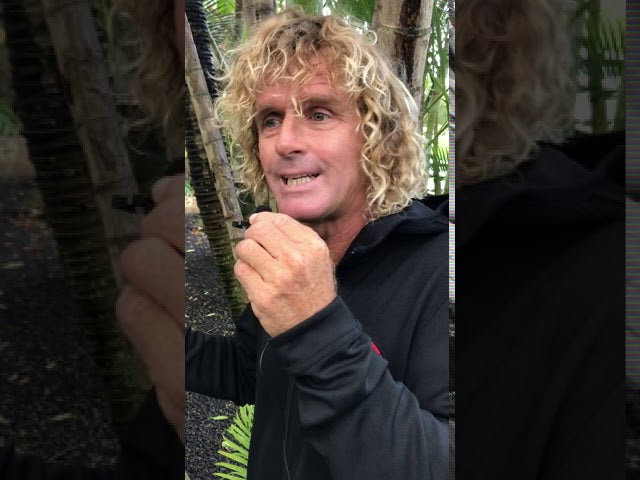 CÓMO PREPARARSE PARA SER UN GRAN WINDSURFISTA