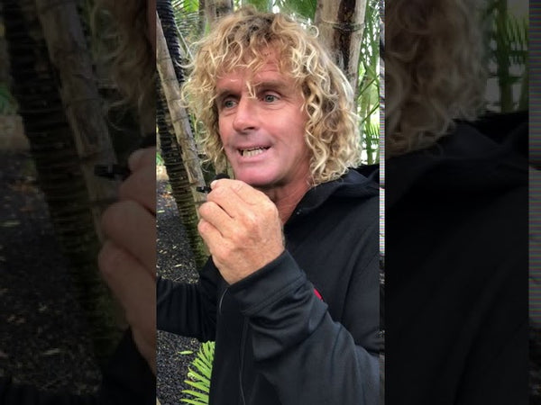 CÓMO PREPARARSE PARA SER UN GRAN WINDSURFISTA