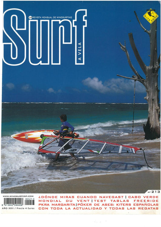 Surf a Vela #213