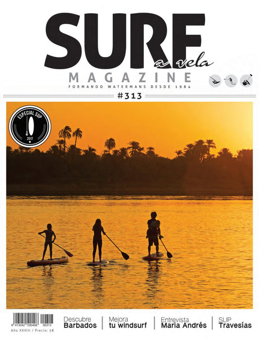 Surf a Vela #313